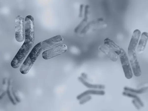 Monoclonal antibodies