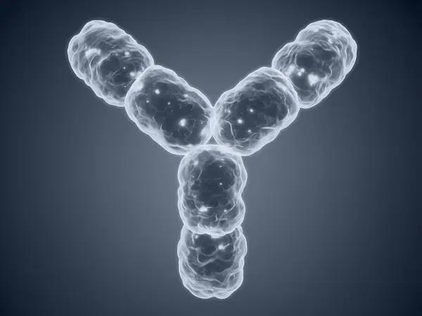 Polyclonal antibodies