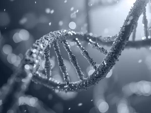 Antiproliferative / antimetabolite agents